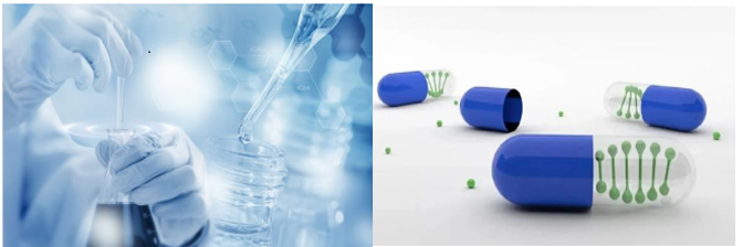 跨界融合 2022第九屆生物發酵展引領日用品技術研發新浪潮